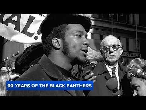 Black Panther Party marks 60 years as Chicago legacy carries on