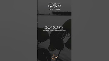 Surat Al-Fil (The Elephant) | سورة الفيل | hafiz Zain Khan Voice | Quran Destination | #surahalfil