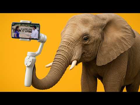 best mobile gimbal 2026 | mobile gimbal