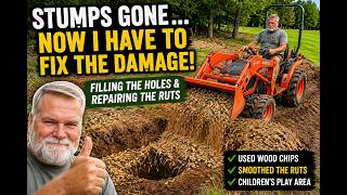 Filling the Holes After Removing Two Tree Stumps