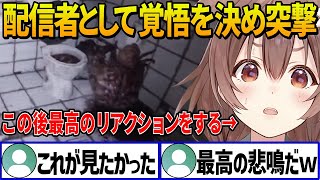 ホラゲーが苦手で超ビビりなころさんが絶叫ポイントに配信者として逃げずに突撃して撮れ高抜群の最高のリアクションをする【 戌神ころね ホロライブ切り抜き/DON'T SCREAM】