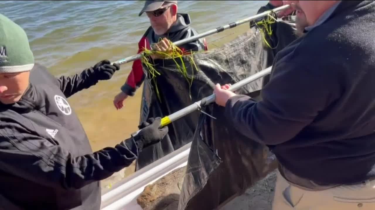 3,000yearold ancient canoe recovered from Lake Mendota YouTube