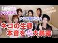 【レズビアン】みんなでネコのあれこれ聞いてみた【ネコの生態】【放送事故！？】