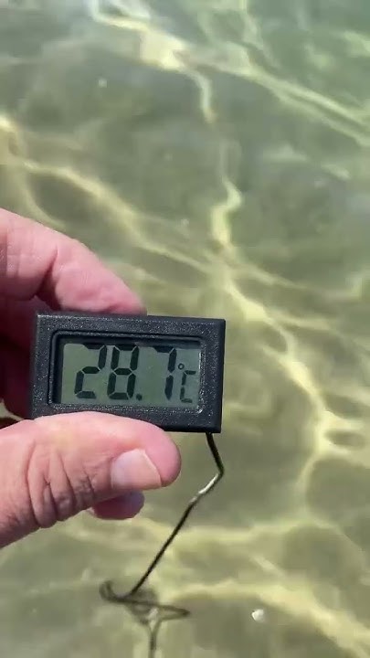 Замер температуры воды в красном море. Шарм эль Шейх 11 июня 2024 ...