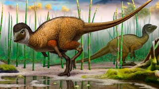 Kulindadromeus: The Remarkable Feathered Ornithischian Dinosaur