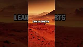 Why Elon Musks has stopped? #controversyunveiled #elonmuskstory #celebritycontroversy