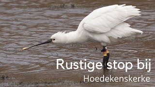 Rustige Stop Bij Hoedekenskerke