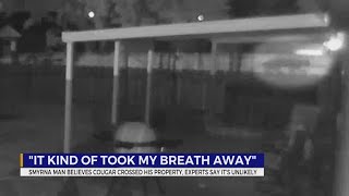 TN man believes cougar cross his property, experts say it's unlikely | VIDEO