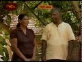 වගා කරන්නේ මෙහෙමයි ! Organic farming