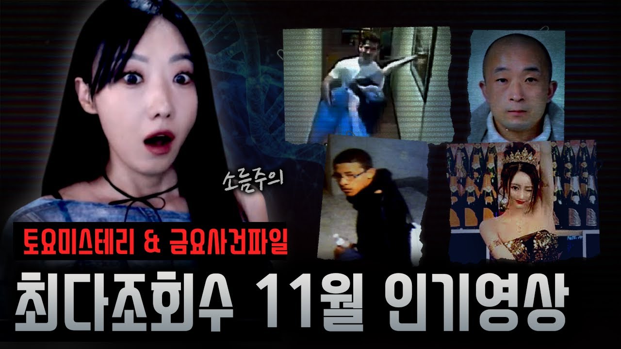 놓치기 아까운 11월 최다조회수 영상모음! 한번에 감상하세요