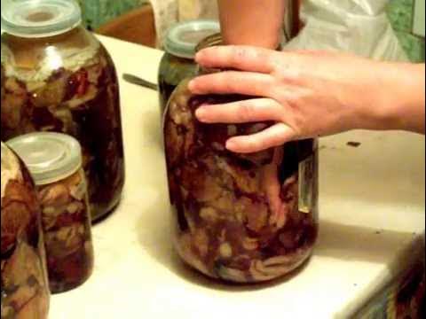 Рассол для груздей. Как солить грибы на зиму под гнетом. Как засолить опята горячим способом. Как солить грибы на зиму под гнетом. Посолить грузди холодным способом в банках на зиму.