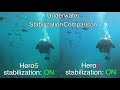 GoPro Hero6 Underwater Stabilization Comparison (with Hero5) GoPro Tip #597 | MicBergsma