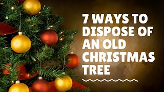 Recycle christmas tree ideas : 7 Ways to Dispose of an Old Christmas Tree