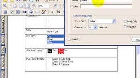 How To Build PDF Forms In Adobe Acrobat 7 of 14