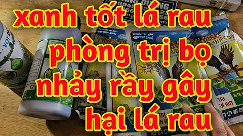 vọt đọt xanh tốt lá rau trị bọ nhảy rầy rệp trên lá rau 023 1711
