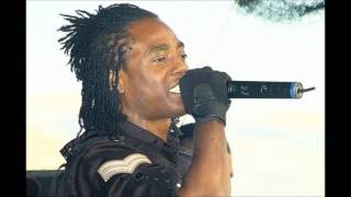 Dancehall Mix 2012 Part 3 Vybz Kartel, I Octane & More