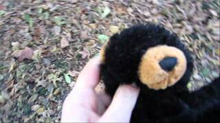 failed Webkinz stunts :)