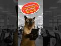 The Reason Your Business Isn't Being Found Online (SEO & GEO Explained)