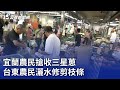 颱風卡努 宜蘭農民搶收三星蔥 台東農民灑水修剪枝條 20230803 公視晚間新聞 颱風卡努 宜蘭農民搶收三星蔥 台東農民灑水修剪枝條 20230803 公視晚間新聞