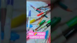 mis colores son muchos y amo los plumones