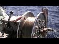 Deep Sea Long Line Fishing Laboratory /Deep dropping Queen snapper
