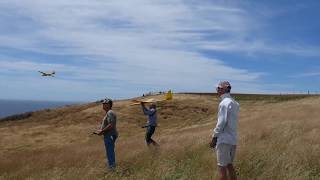 Lunak 14 Scale Glider