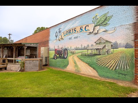 Iga Loris South Carolina