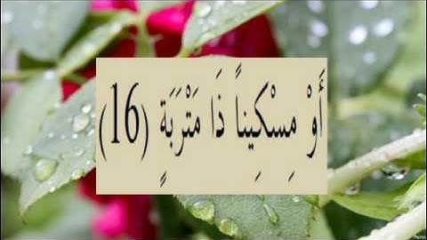القران الكريم سورة البلد الاية 16