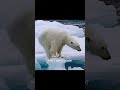 أخࢪ ف يـد م ـــارسل ــين عنده ا مه ووسين ج وهرت ي احبك م
