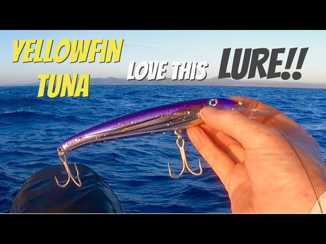 Trolling Hard Body Lures for Yellowfin Tuna! 