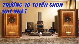 những bài hát hay nhất của Trường Vũ,nhạc cd gốc