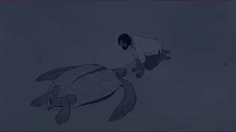 The Red Turtle Animation Movie The Red Turtle Animation Movie