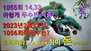 1055회14,33적중!1056회(2023년2월25일)예상수?토끼띠와스트레스관계쥐띠가돈주머니를!