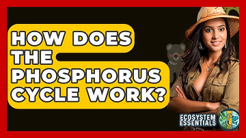 How Does The Phosphorus Cycle Work? - Ecosystem Essentials