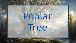 The Poplar Tree: Sacred Lore, Healing, Spirit Messages & Ancient Mythology | Ditch Witch Diaries