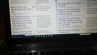 Private Library Study Torah Hebrew Jewish Yeshua Gematria screenshot 4