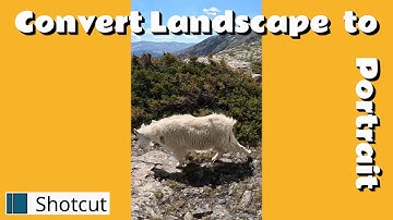 How to Convert Videos from Landscape to Portrait mode (Shotcut Tips)