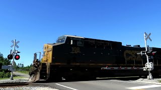 Trains For A Day Folkston Georgia