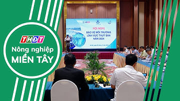 Thúc đẩy bảo vệ môi trường trong lĩnh vực thủy sản | Nông nghiệp Miền Tây