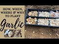 How, When, Where & Why To Plant  GARLIC