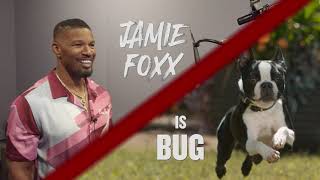 Strays | Jamie Foxx Is Bug Featurette