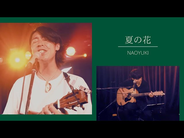 川崎ライブハウスY's