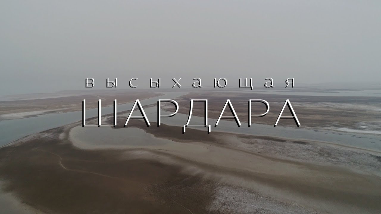 Высыхающее Шардаринское водохранилище