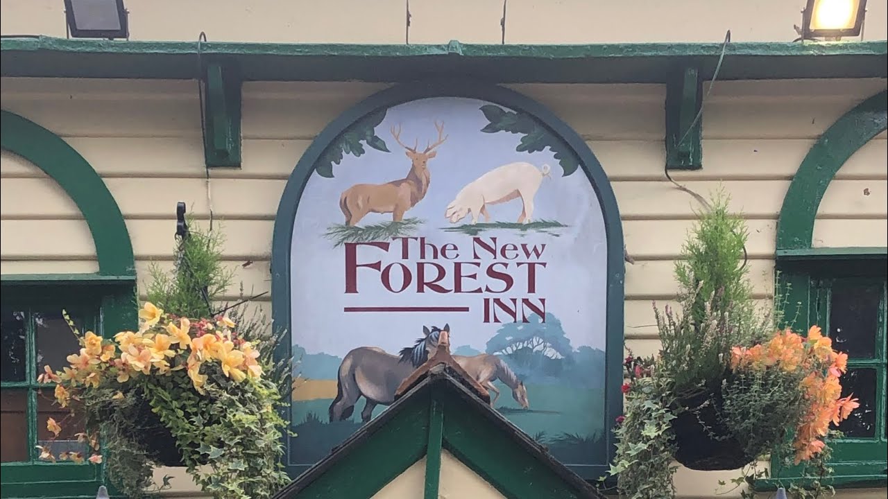 UK Vlog - New Forest 2020 Staycation - New Forest Inn, Burley, Old Station Tea Room & Trusty Servant