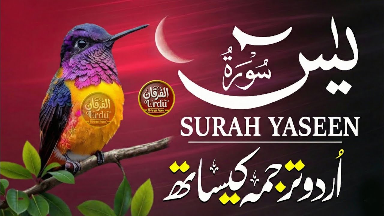Surah Yasin | Surat Yaseen with Urdu Translation | Quran Tilawat Beautiful Voice | Hindi Tarjuma