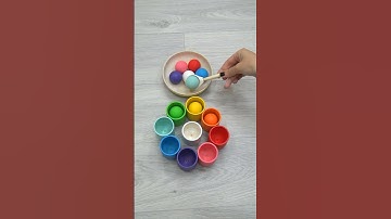 Colorful Wooden Sorter ASMR #dominogirl