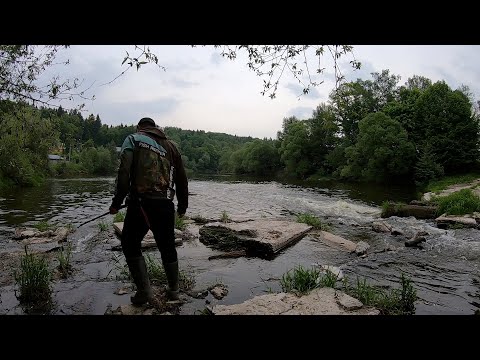 Рыбалка в Подмосковье. Куда поехать порыбачить в Московской области. Обзор - Дикари и платники 2022