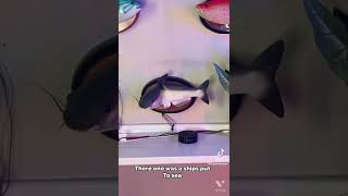 Wellerman Fish Singing