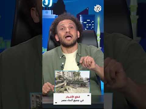 أسانسير النجاح في مصر .. ما نستخدم السلم أضمن