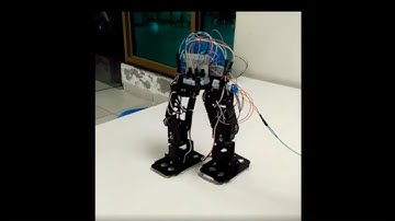 Biped Robot